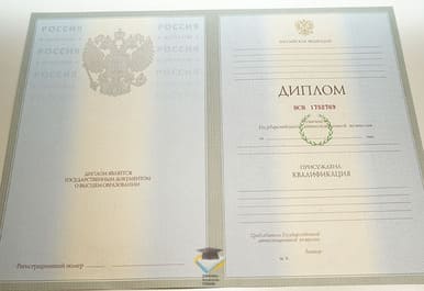 Диплом ВИЭУП 2003-2009 годов